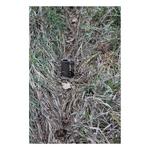 Duke Dog Proof Racoon Trap - Thumbnail 4 of 6