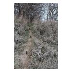 Duke Dog Proof Racoon Trap - Thumbnail 5 of 6