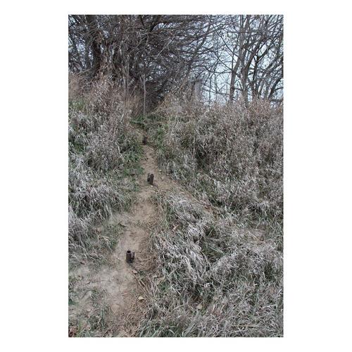 Duke Dog Proof Racoon Trap - Primary Image