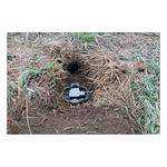 Duke Traps Pro Series 550 OS - Thumbnail 4 of 5