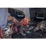 Gerber Take-A-Part Game Shear - Thumbnail 3 of 3