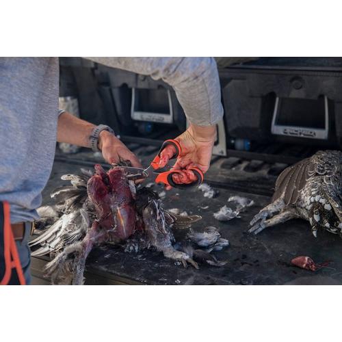 Gerber Take-A-Part Game Shear - Primary Image