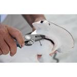 Cuda Pliers w/ Mono/Braid Cutters - Thumbnail 2 of 6