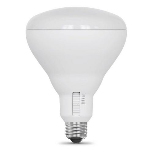 Feit Electric BR40 E26 Medium LED White Bulbs - 2 Pack - Primary Image