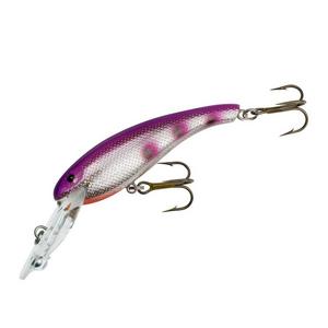 Purple Rain - Cotton Cordell Wally Diver Crankbait