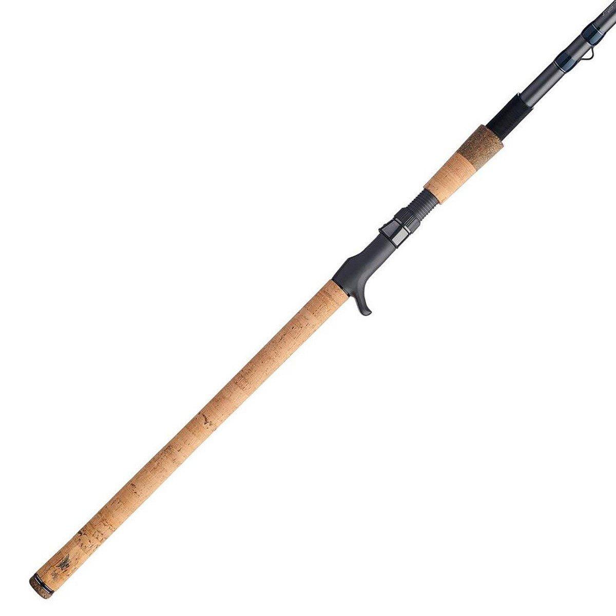 Fenwick Elite Predator Casting Rod 1292686 | SCHEELS.com