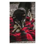 Tall Tails Hunter's Plaid Fleece Dog Blanket - Thumbnail 4 of 4