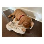 Tall Tails Yeti Dog Toy - Thumbnail 3 of 3