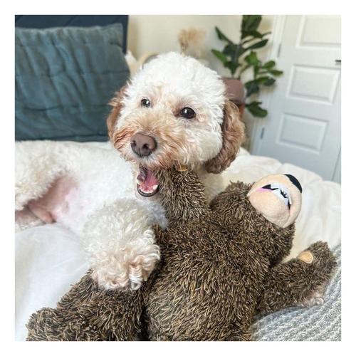 Tall Tails Grizzly Rope Body Dog Toy - Primary Image