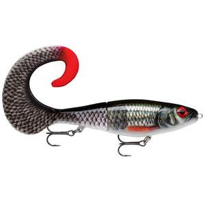 Live Roach - Rapala X-Rap Otus