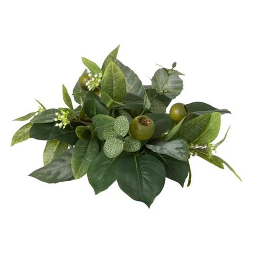 Sullivans 4" Artificial Green Israeli Ruscus Leaf Half Orb - Primary Image