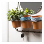 Sullivans 4" Artificial Green Israeli Ruscus Leaf Half Orb - Thumbnail 3 of 4