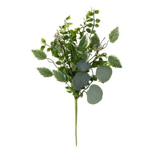 Sullivans Variegated Foliage Mix Pick - Primary Image