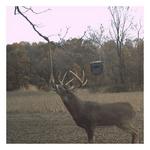 Wildlife Research Center Golden Rope Scent Kit - Thumbnail 3 of 3