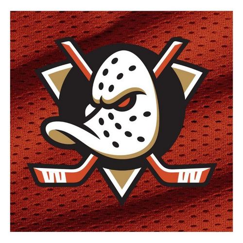 Franklin Sports NHL Anaheim Ducks Mini Hockey Set - Primary Image