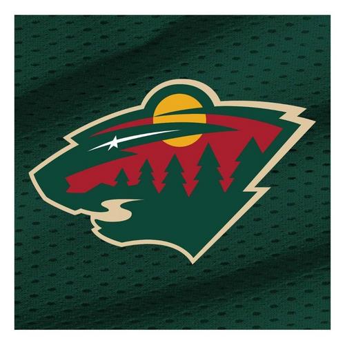 Franklin Sports Minnesota Wild Goal Set - Primary Image