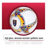 Franklin MLS Real Salt Lake Soccer Ball & Pump - Thumbnail 6 of 8