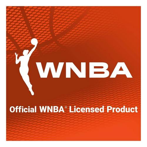 Franklin Sports WNBA Chicago Sky Over the Door Basketball Hoop - Primary Image