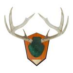 Allen Antler Mounting Kit - Thumbnail 1 of 3