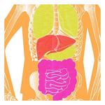 EZ Aim Fun Imposing Figures Paper Shooting Target Assortment 8 Pack - Thumbnail 4 of 12