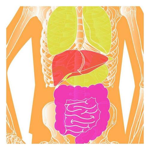 EZ Aim Fun Imposing Figures Paper Shooting Target Assortment 8 Pack - Primary Image