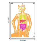 EZ Aim Fun Imposing Figures Paper Shooting Target Assortment 8 Pack - Thumbnail 5 of 12