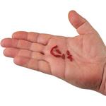 Berkley Gulp! Waxies - Thumbnail 2 of 3