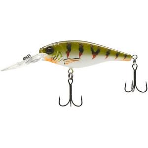 Nordic Tiger Perch - Berkley Flicker Shad Crankbait