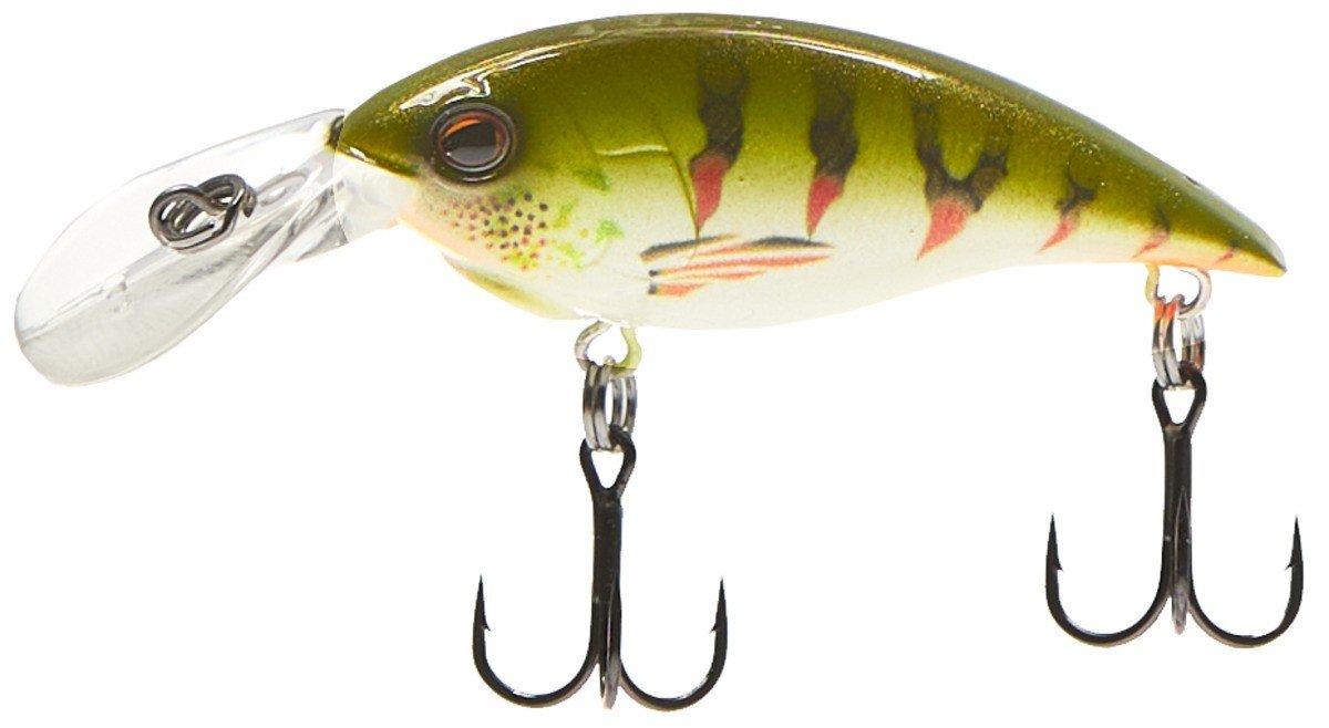 Nordic Tiger Perch - Berkley Money Badger Crankbait