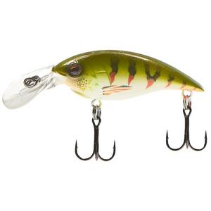 Nordic Tiger Perch - Berkley Money Badger Crankbait