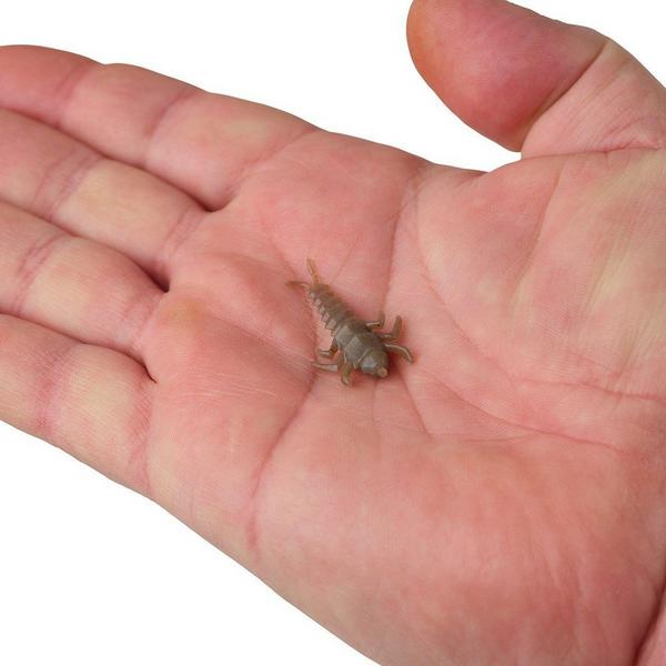 Berkley Gulp! Alive! Stonefly Jar