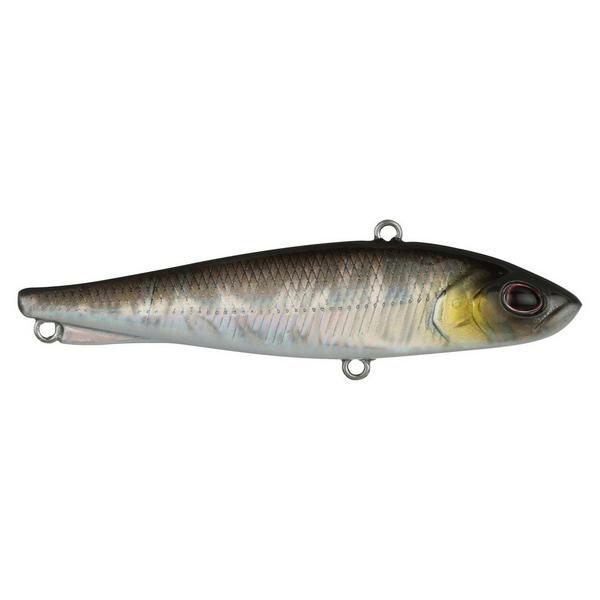 Berkley Ripfish