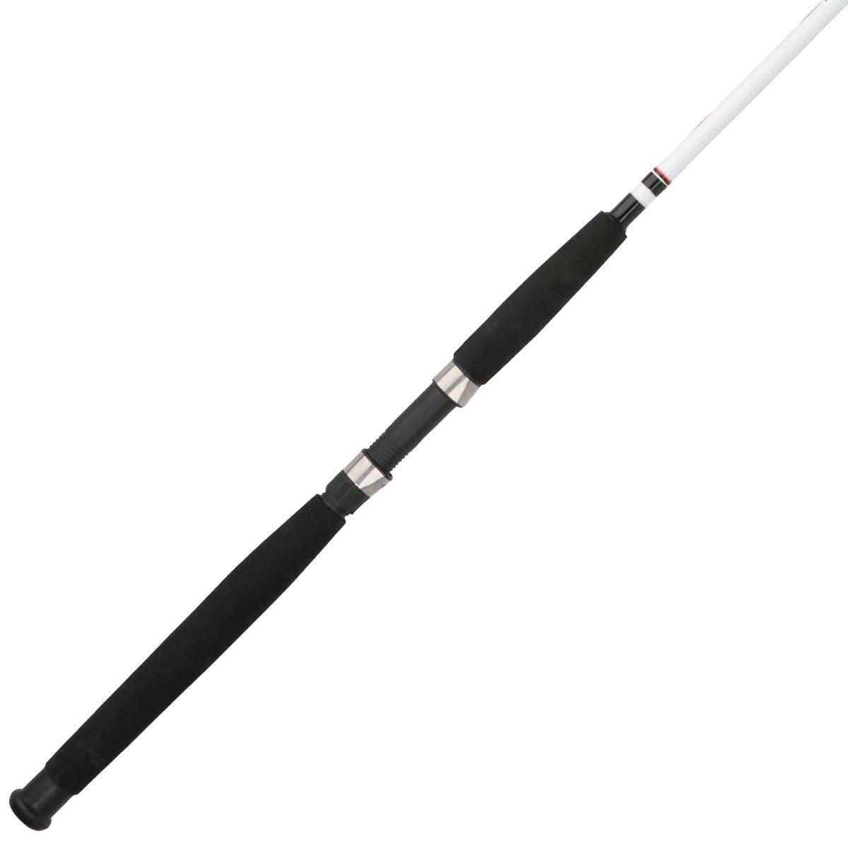 Berkley Big Game™ Spinning Rod | SCHEELS.com