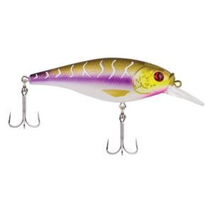 Purple Tiger - Berkley Shallow Flicker Shad Crankbait