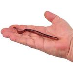 Gulp! SR Crawler - Thumbnail 6 of 6