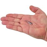 Gulp! Alive! Minnow - Thumbnail 3 of 4