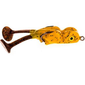 Pumpkin Seed - Little Big Foot