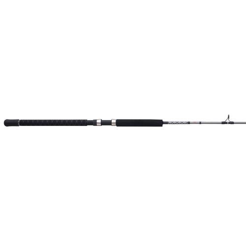 PENN Ally II Boat Conventional Rod - Primary Image