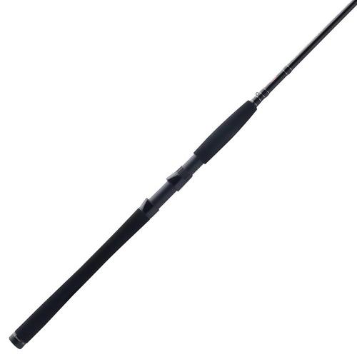 PENN Squadron IV Inshore Casting Rod - Primary Image
