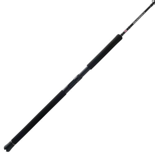 PENN Squadron IV Jig Conventional Rod - Primary Image