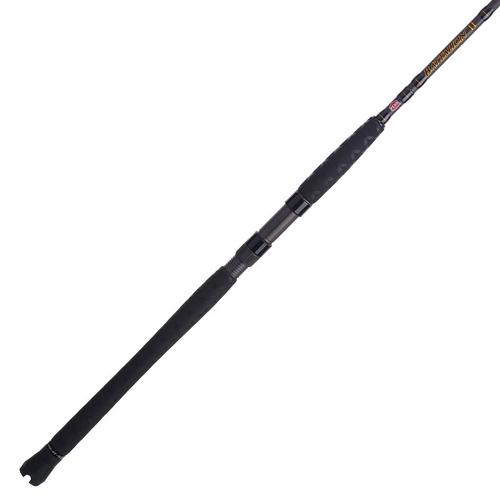PENN Battalion II Inshore Spinning Rod - Primary Image
