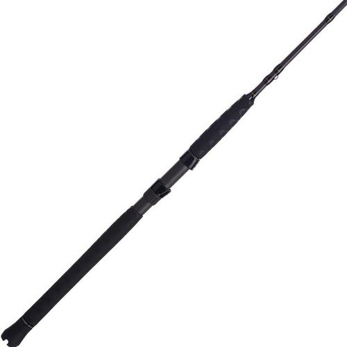 PENN Battalion II Inshore Casting Rod - Primary Image
