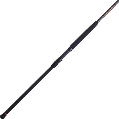 PENN Squadron III Surf Spinning Rod - Primary Image