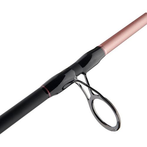 PENN Passion II Spinning Combo - Primary Image