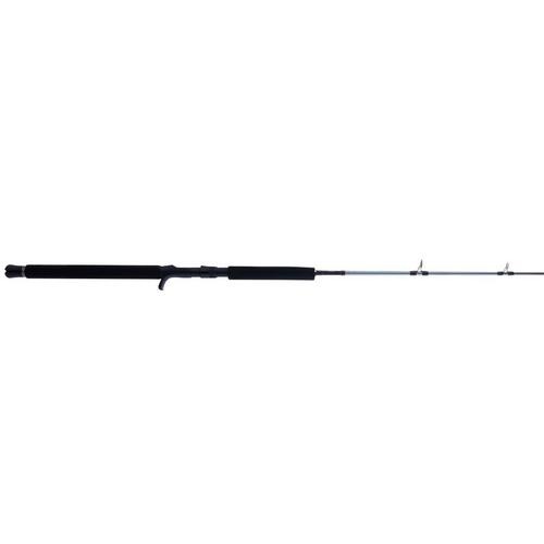 PENN Prevail III Jig Conventional Rod - Primary Image