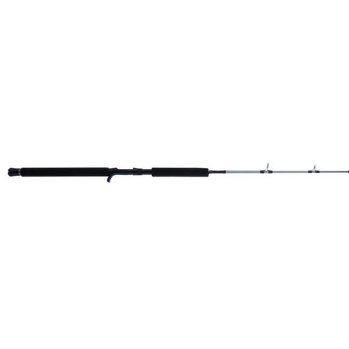 PENN Prevail III Jig Conventional Rod - Primary Image