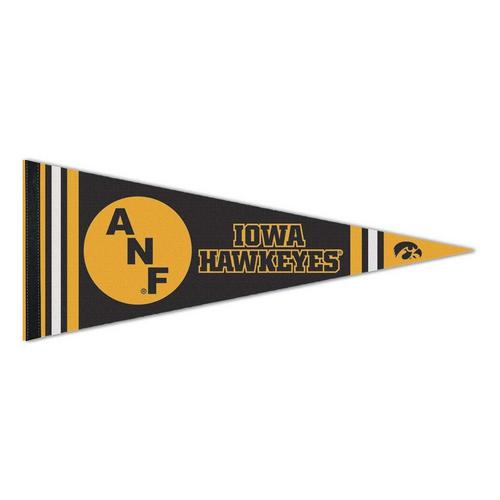 Wincraft Iowa Hawkeyes America Needs Farmers Premium Pennant - Primary Image