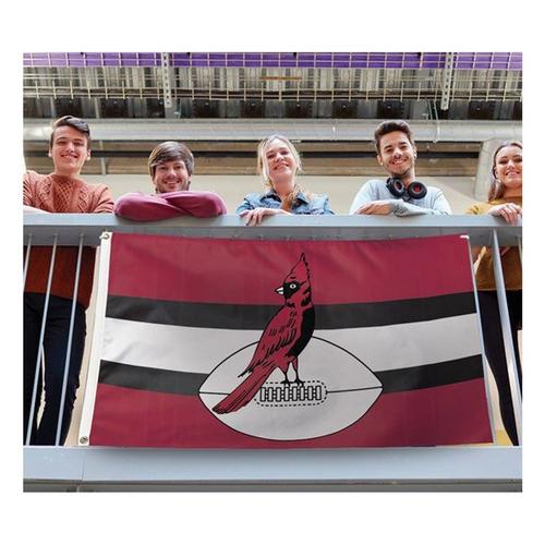 Wincraft Arizona Cardinals Classic Retro Flag - Primary Image