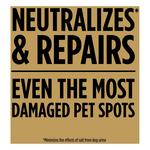 Scotts EZ Seed Mixed Sun or Shade Pet/Dog Spot Grass Repair Seed 2 lb - Thumbnail 2 of 5