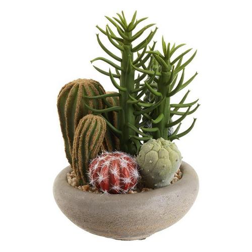 Allstate Floral 8" Cactus Garden in Cement Pot - Primary Image